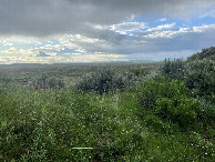 #2: A view to the north from the confluence point.