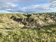 #9: The scenery to and from the confluence point, looking south. 