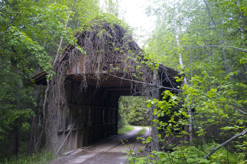 A covered bridge, located just off Chintze Lane, about 2/3 mile from the confluence point. 
