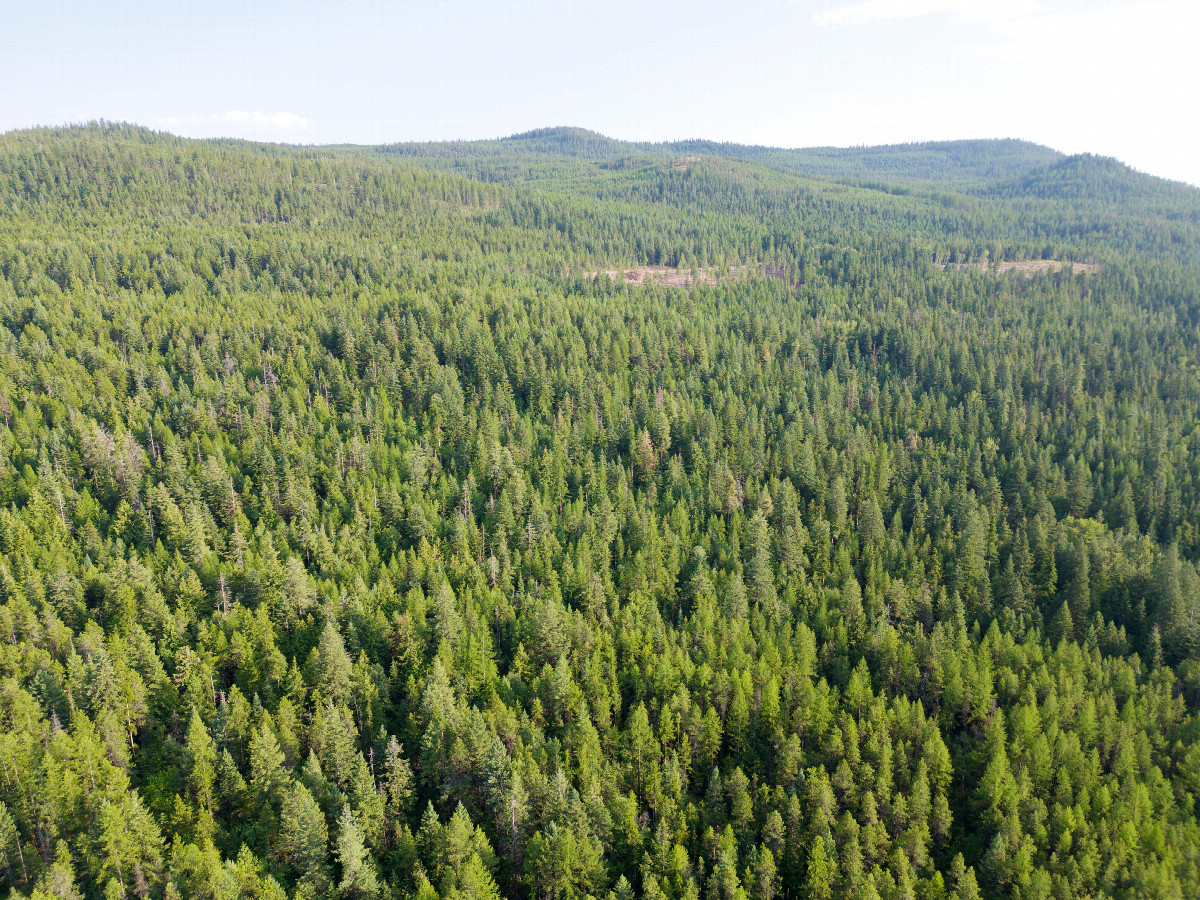 View South, from 120m above the point