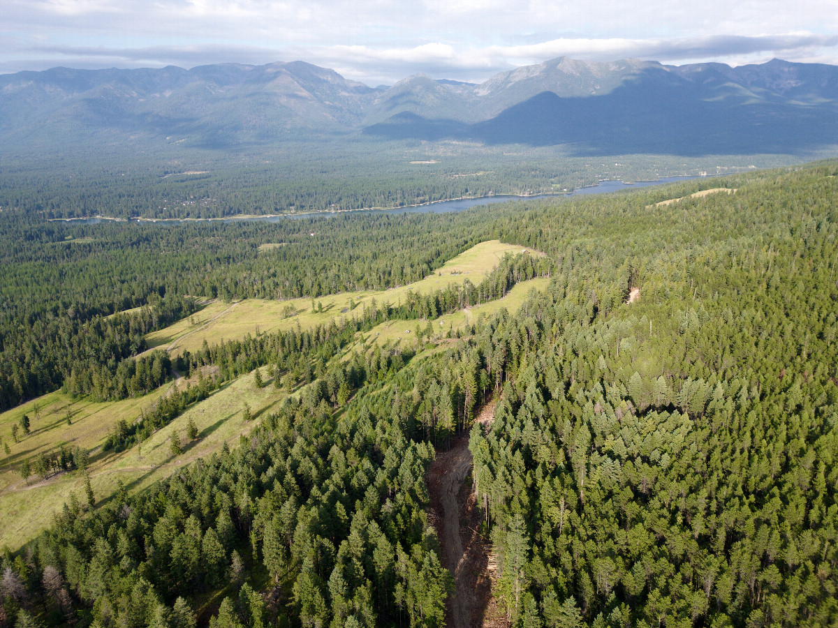 View East (towards Swan Lake) from a height of 120m