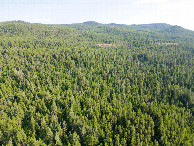 #10: View South, from 120m above the point