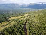 #9: View East (towards Swan Lake) from a height of 120m