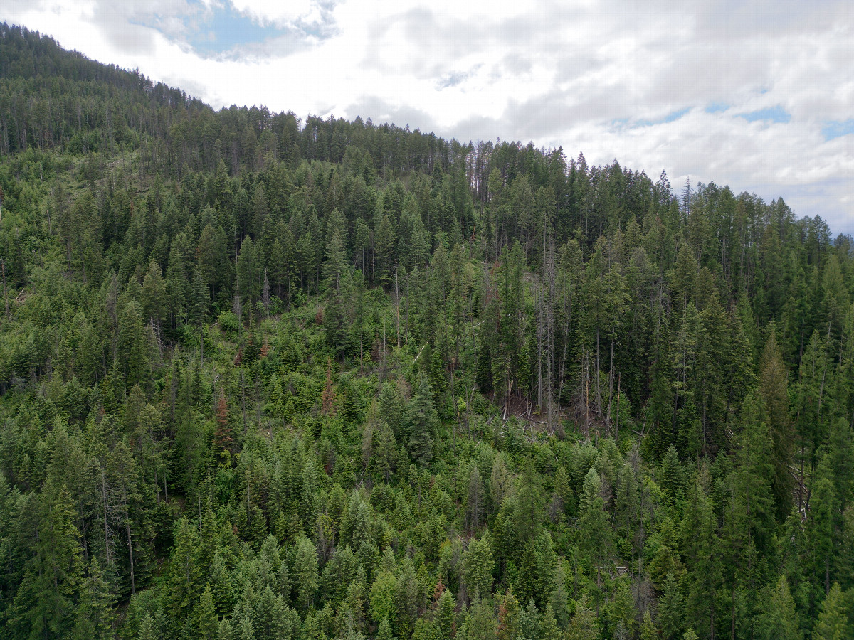 View West (up the steep slope), from 120m above the point