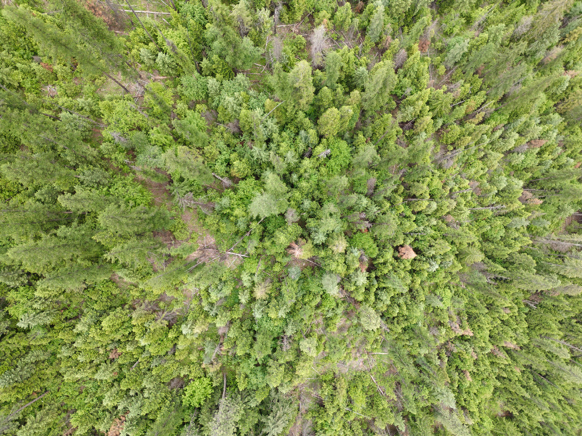Looking down on the point from a height of 120m