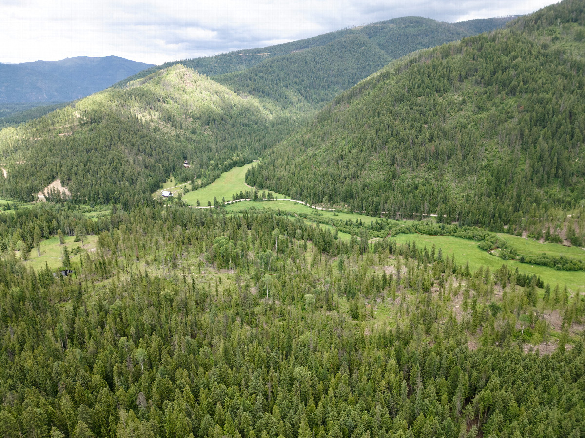 View East, from 120m above the point
