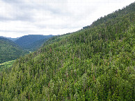 #10: View South, from 120m above the point