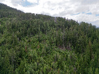 #11: View West (up the steep slope), from 120m above the point
