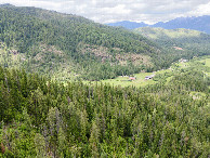#8: View North, from 120m above the point