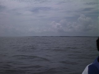 #1: The southern shore of the Albemarle Sound.