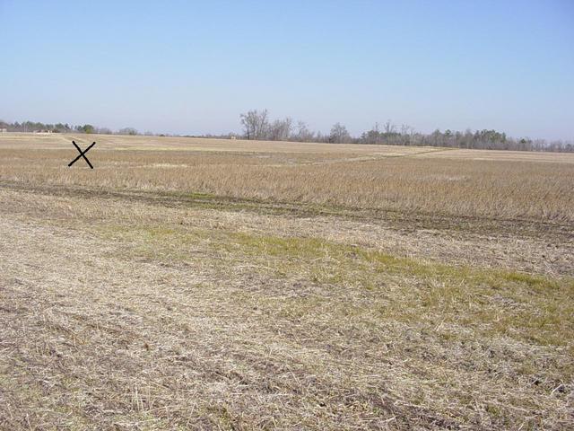 View looking toward the confluence, X marks approximate spot.