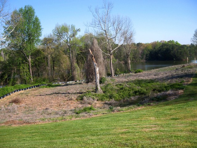 The confluence is in the natural area near the dead tree.  Oak Hollow Lake is in the background.