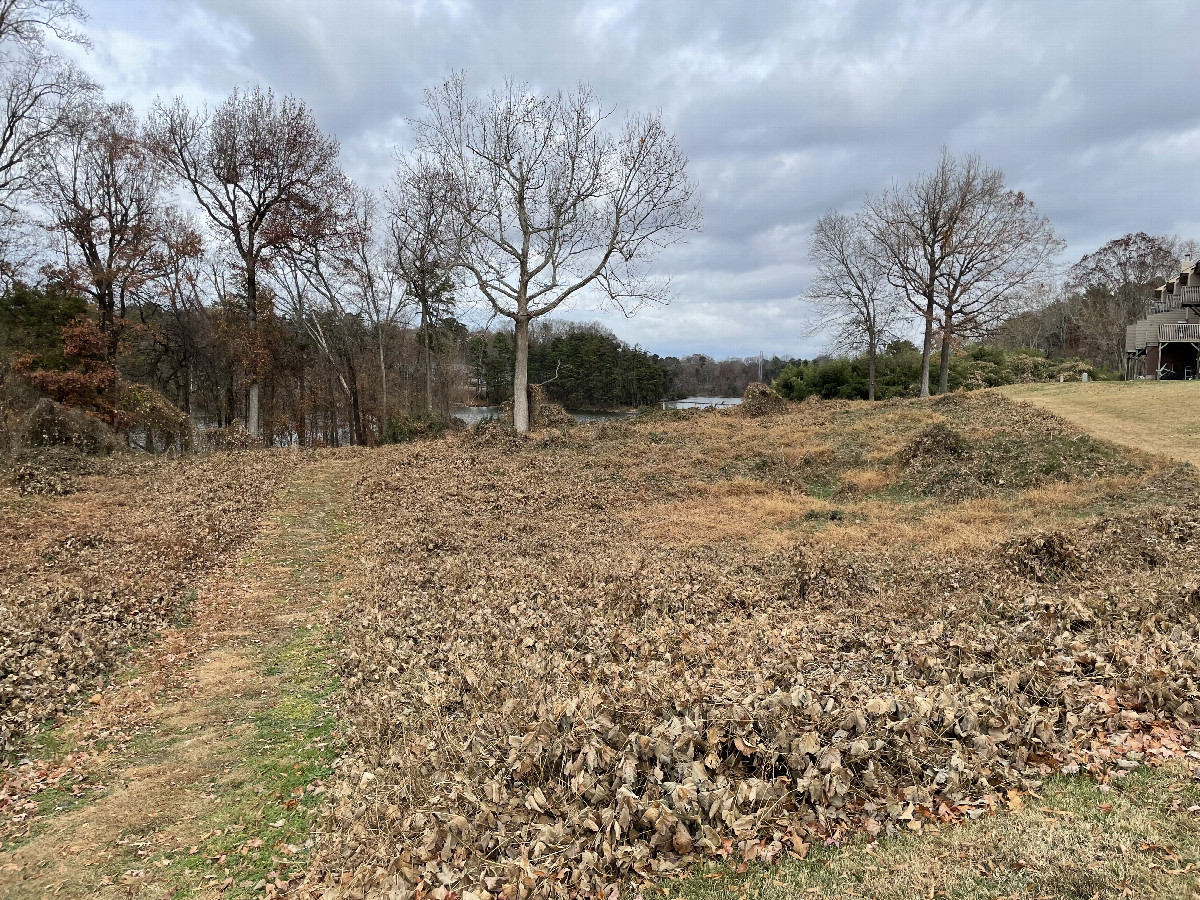 View NNE to the confluence in the middle foreground