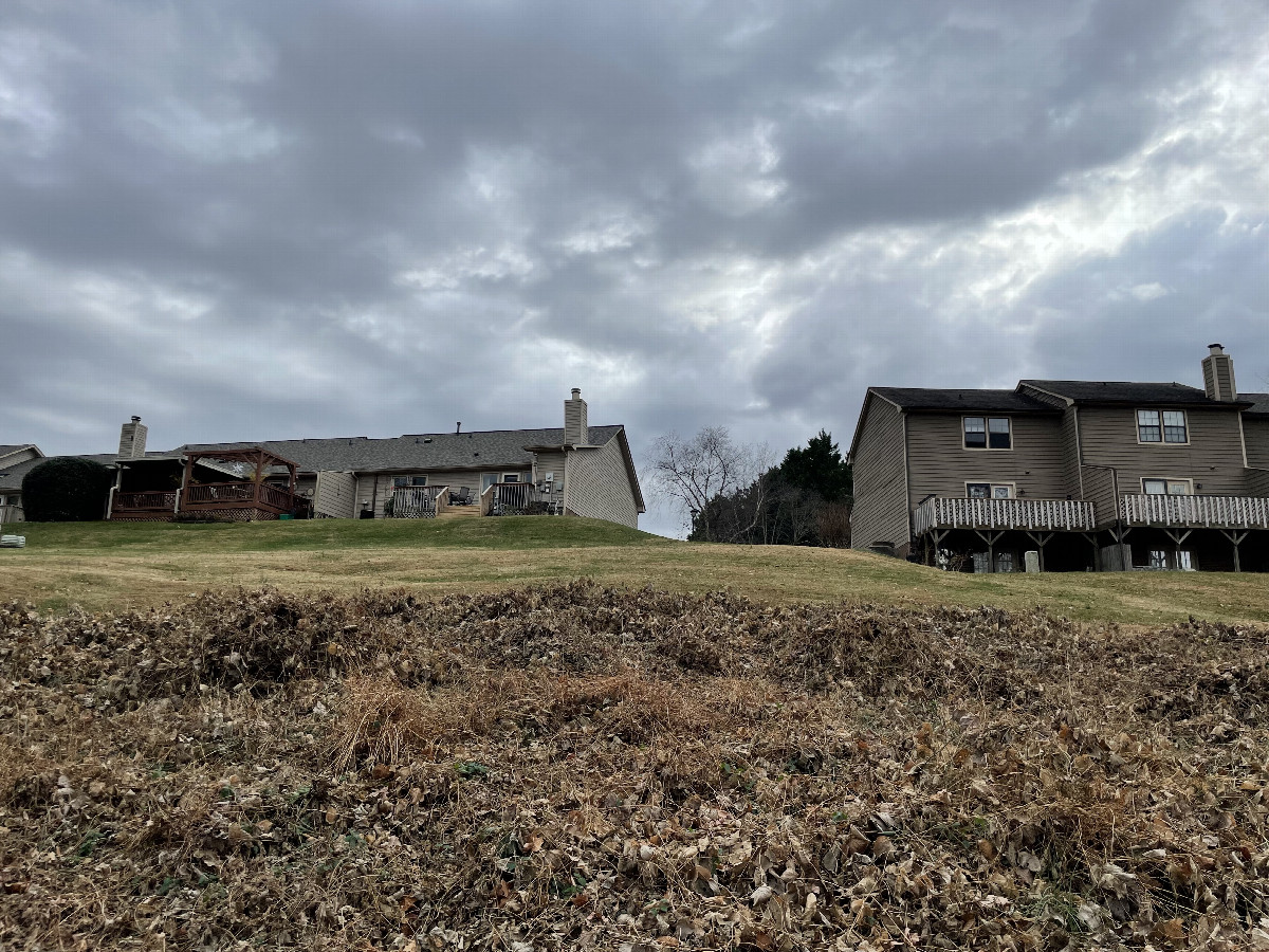 View to the south and slightly uphill