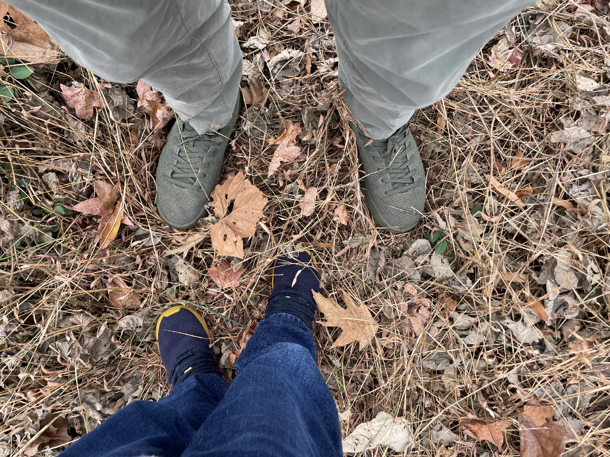 Ground cover – much more than dead kudzu!