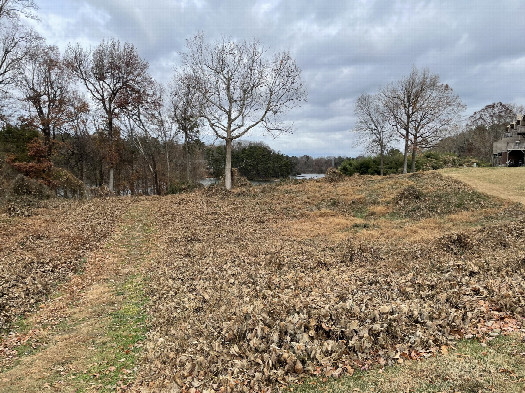 #1: View NNE to the confluence in the middle foreground