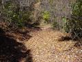 #8: Trail to the confluence point