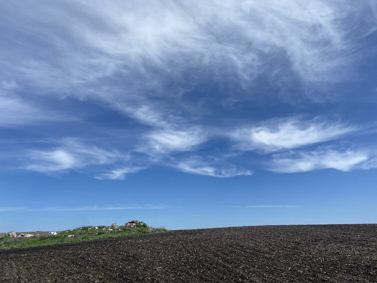 Beautiful cirrus-streaked skies at the confluence point. 