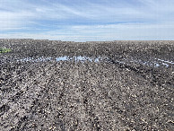 #4: View to the south from the confluence. 