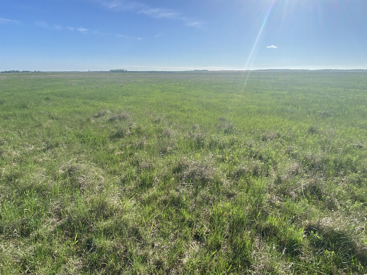 View of the confluence in the foreground looking Northeast. 