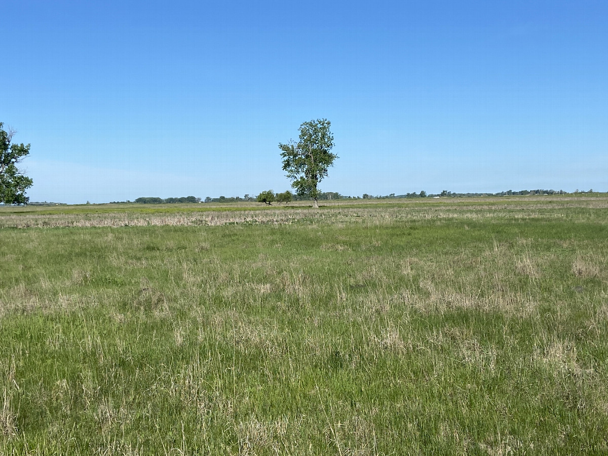 A view to the west from the confluence point. 