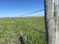 #10: Fence posts, and long horizons. 