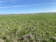 #2: View to the north from the confluence point. 