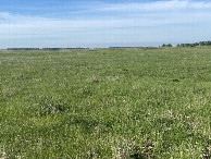 #4: A view to the south from the confluence point. 