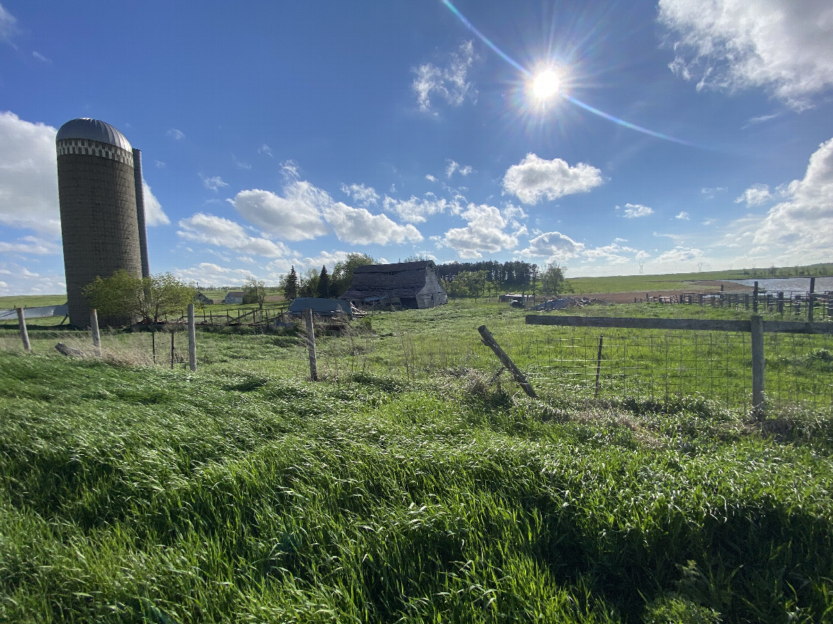 Abandoned, but still lovely farmstead to the west of the confluence. 