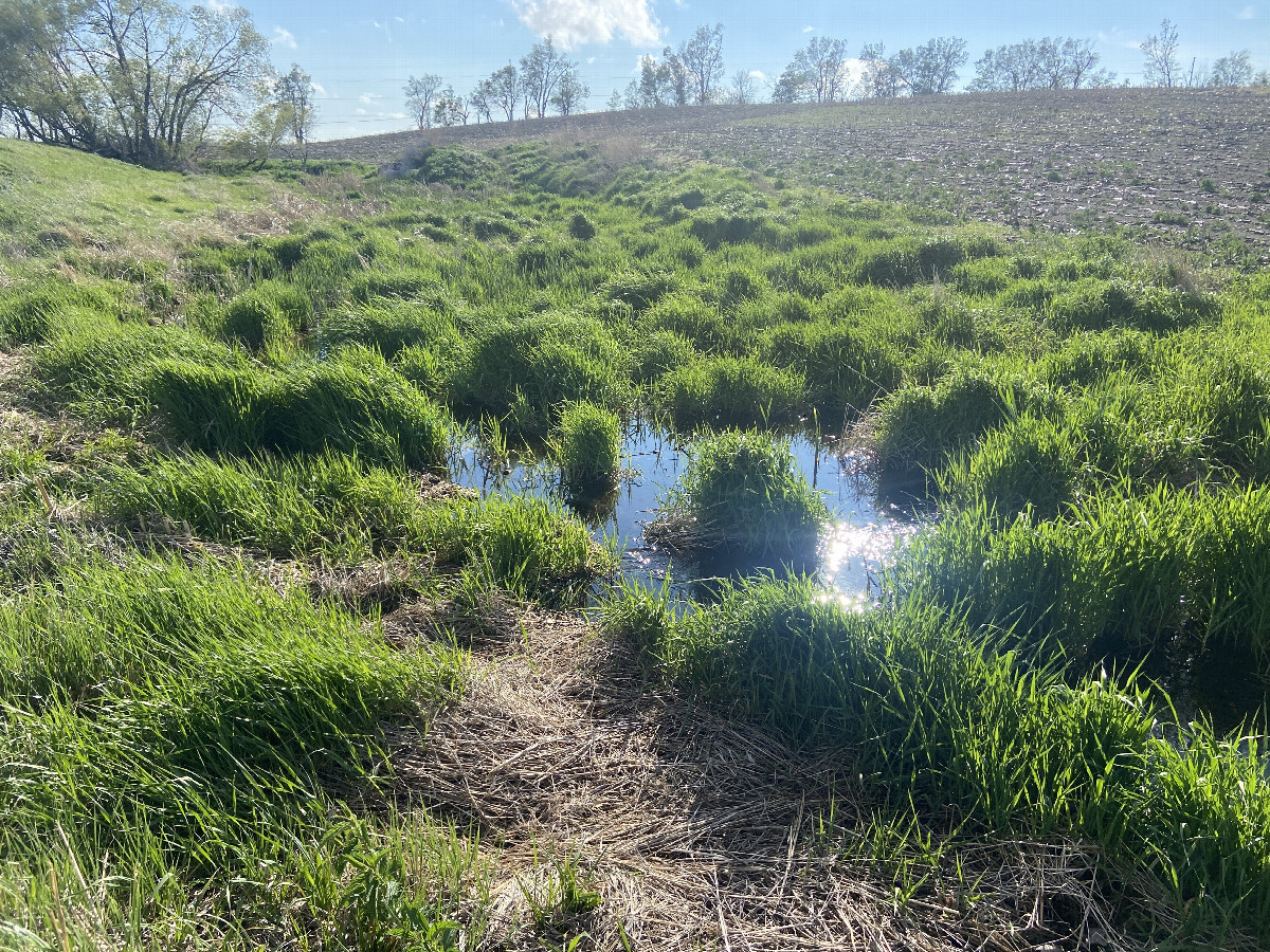 Small creek that must be traversed, if approaching the confluence from the West.  