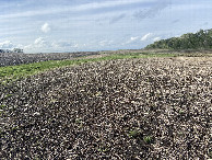 #2: View to the north from the confluence point.