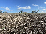 #4: View to the south from the confluence point. 