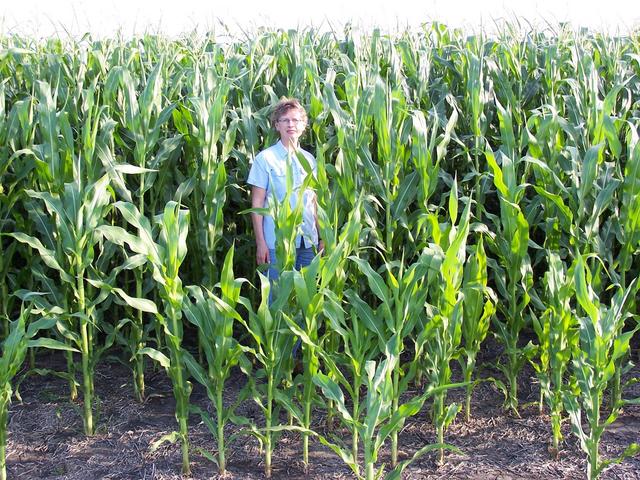 Carolyn in the corn.