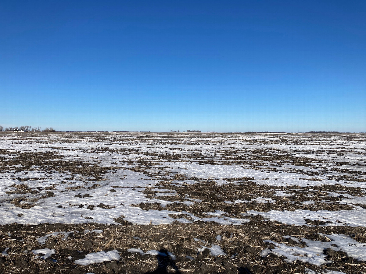 Looking north from the confluence