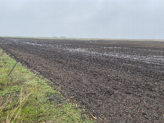 #1: View of the confluence in the right, middle ground, looking southeast.