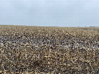 #2: View to the north from the confluence point. 