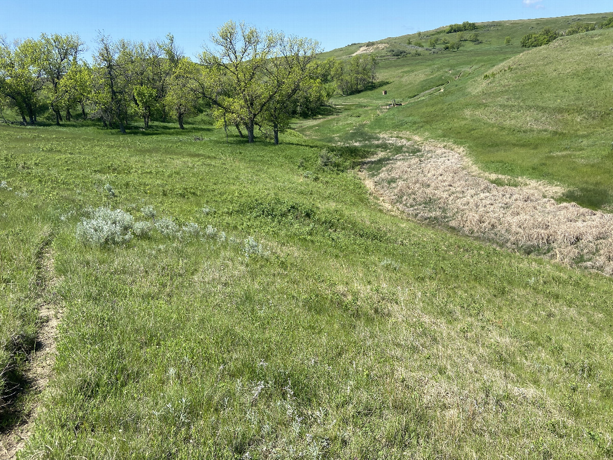 Looking south southeast, the confluence point is just to the right of this trail.