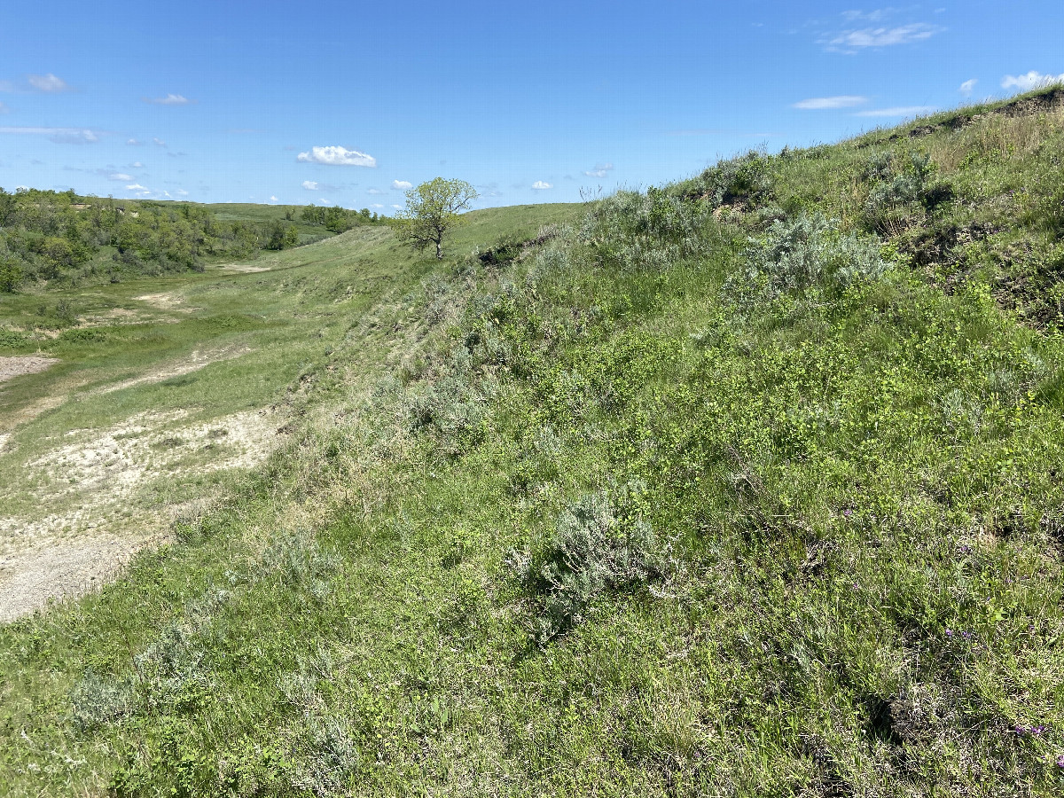 The view to the north from the confluence point.