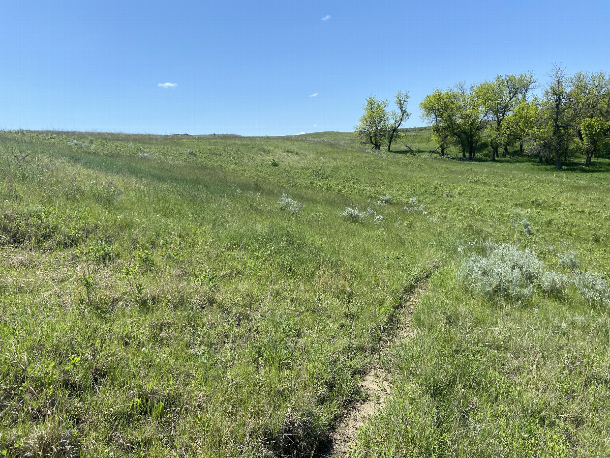 A view to the south from the confluence point.