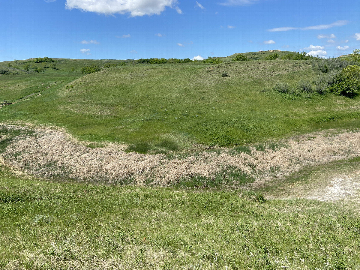 The view to the west from the  Confluence point.