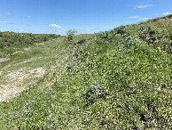 #2: The view to the north from the confluence point.