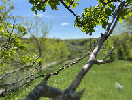 #9: Beautiful hike to the confluence point. 