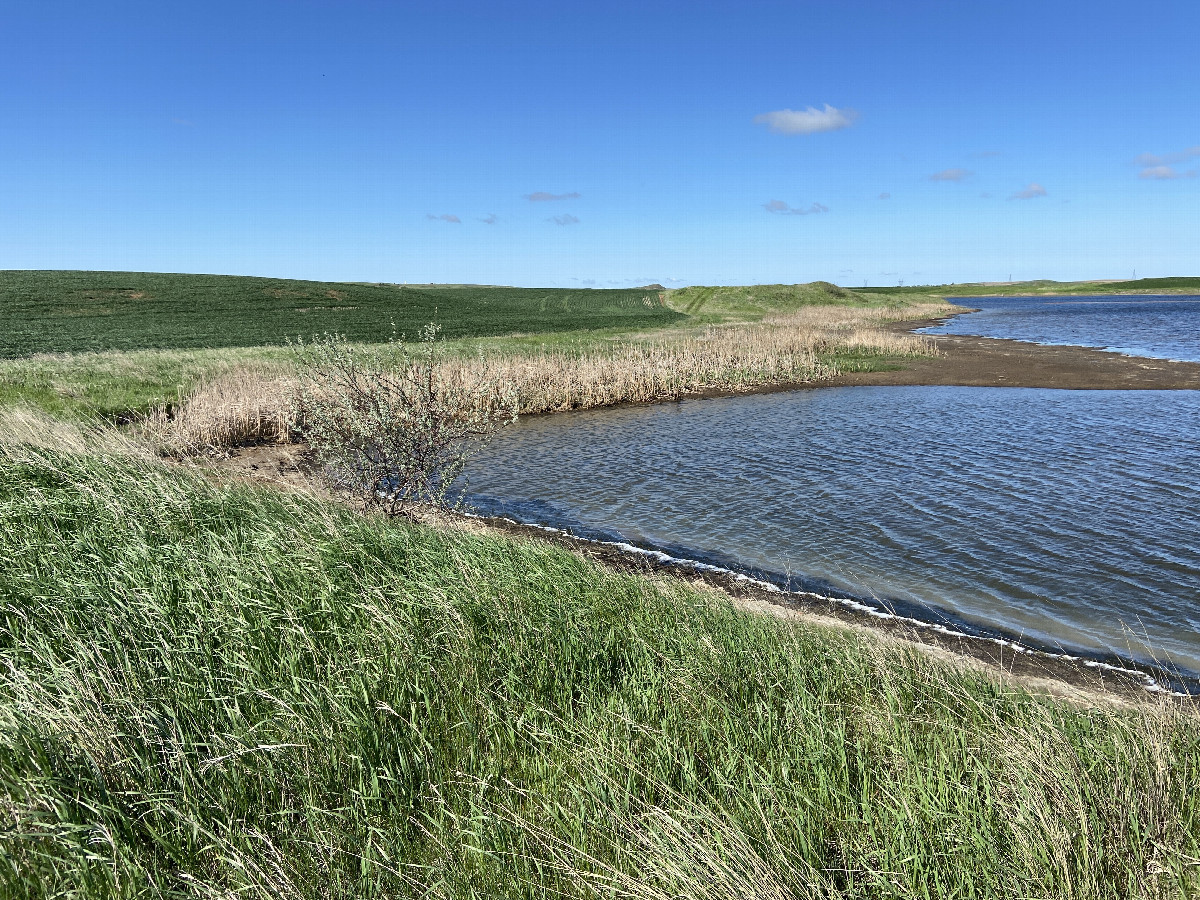 The confluence lies on the left side of this photo, around the bend at the left and a bit up the other side,in the reeds near the lake edge.  