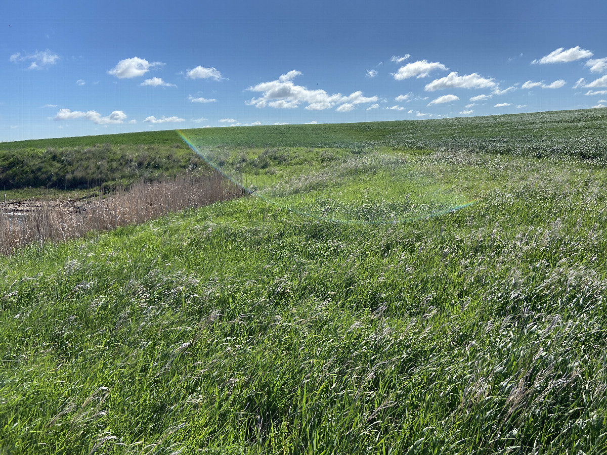 A view to the east from the confluence point. 