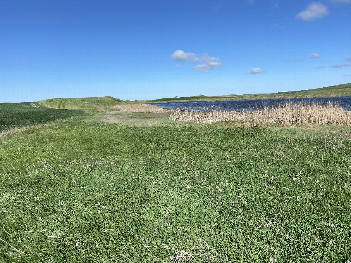 A view to the west from the confluence point.  