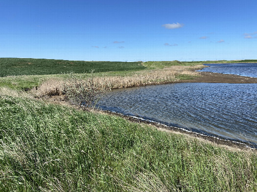 #1: The confluence lies on the left side of this photo, around the bend at the left and a bit up the other side,in the reeds near the lake edge.  