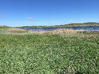 #2: A view to the north from the confluence point. 