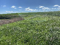 #3: A view to the east from the confluence point. 