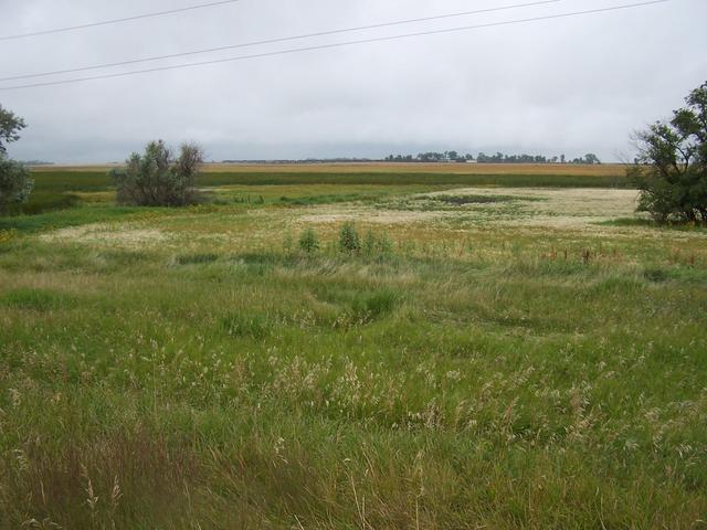 A view North from Highway 2 near Rugby.  Note the distant train travelling East.