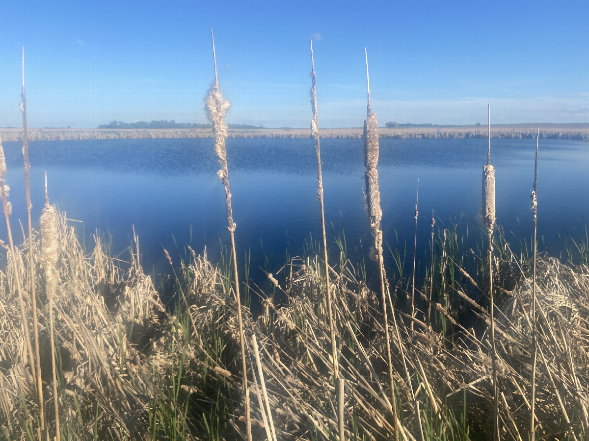 Another view of the neighborhood of the confluence, looking southeast. 